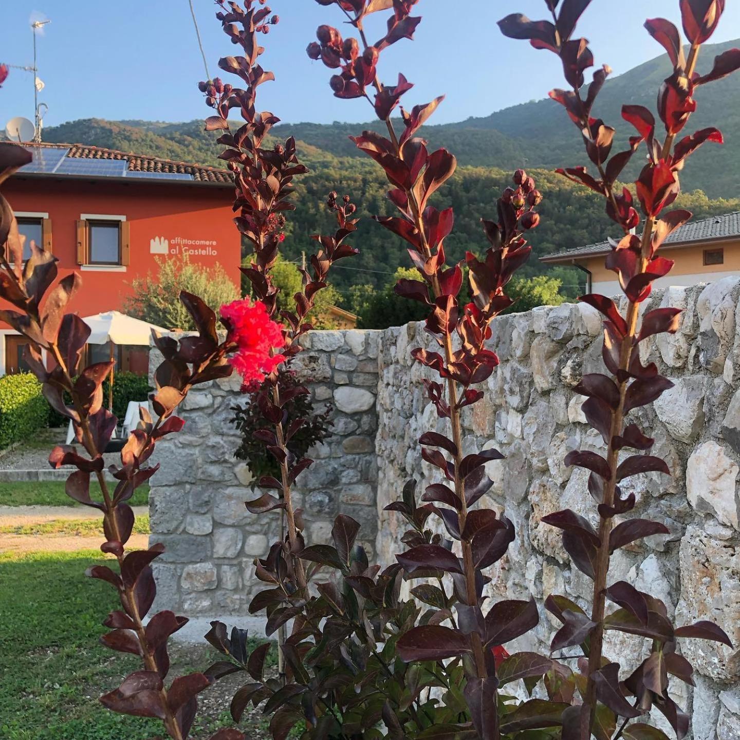 Affittacamere Al Castello Travesio Bagian luar foto